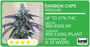 Exploring the Characteristics and Benefits of Granddaddy Purple Autoflower Exploring the Characteristics and Benefits of Granddaddy Purple Autoflower